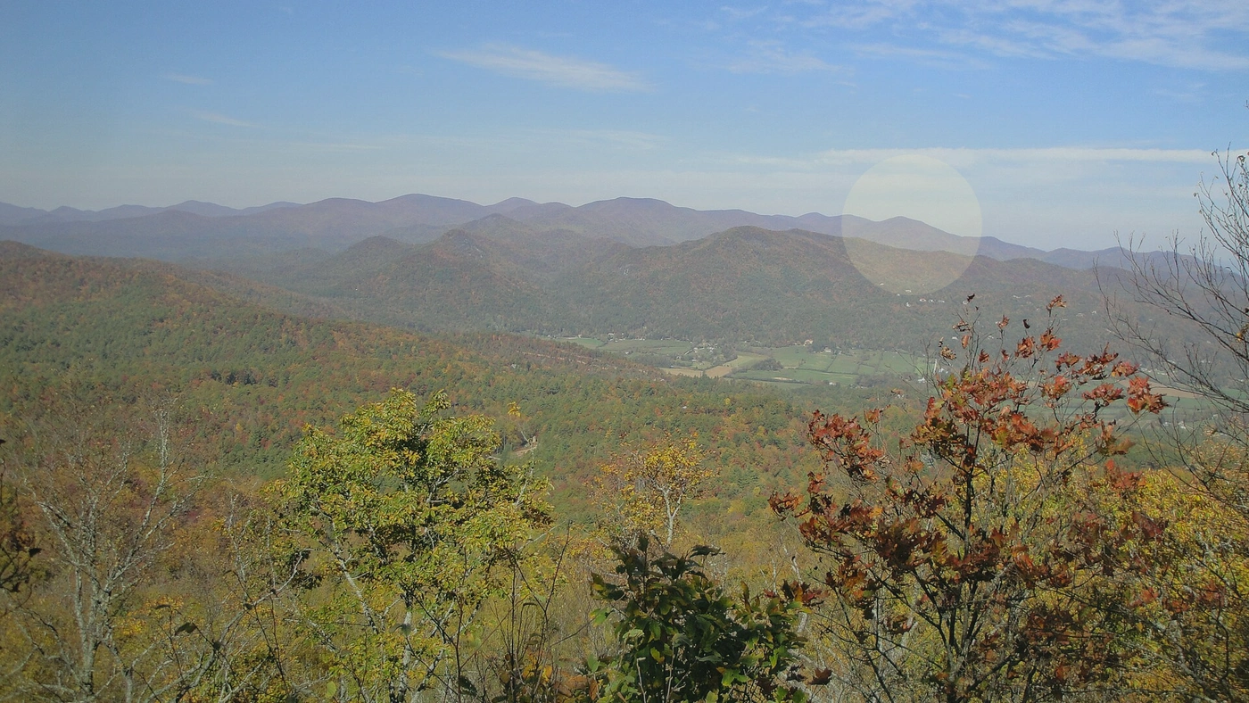 Georgia Land Buyers: How to Compare Direct Cash Offers Georgia land guide