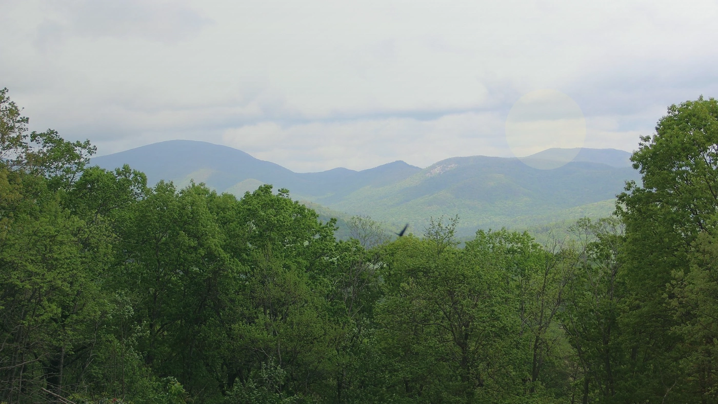 How to Sell Land Online in Georgia Georgia land guide