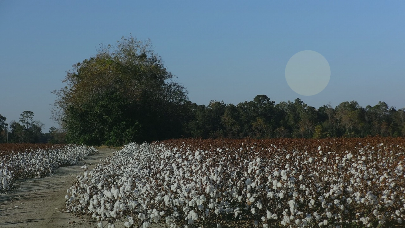 How to Sell Land Without a Realtor in Georgia Georgia land guide