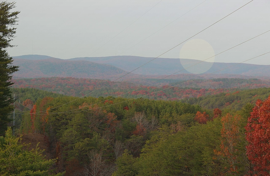 Georgia land records and parcel facts for Georgia Land Buyers: How to Compare Direct Cash Offers