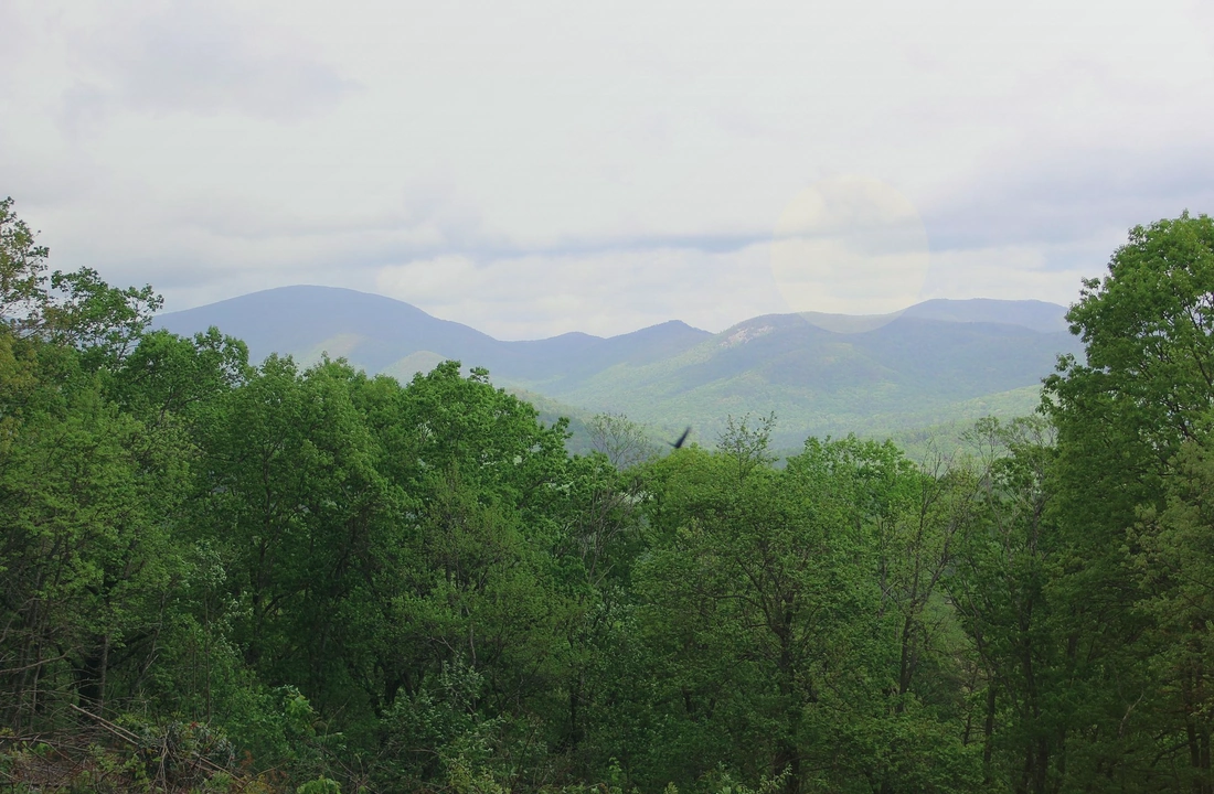 Georgia land records and parcel facts for How to Sell Land Fast in Georgia