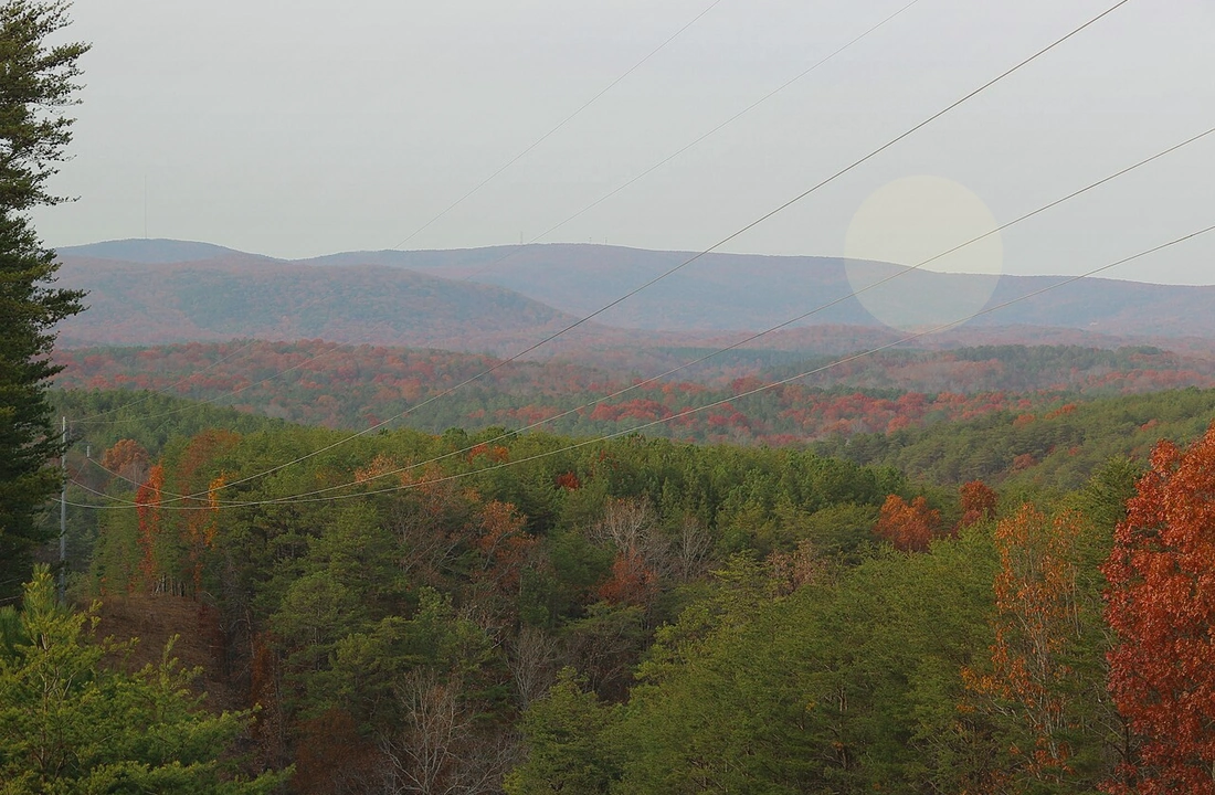 Georgia land sale options and buyer review for How to Sell Land Without a Realtor in Georgia