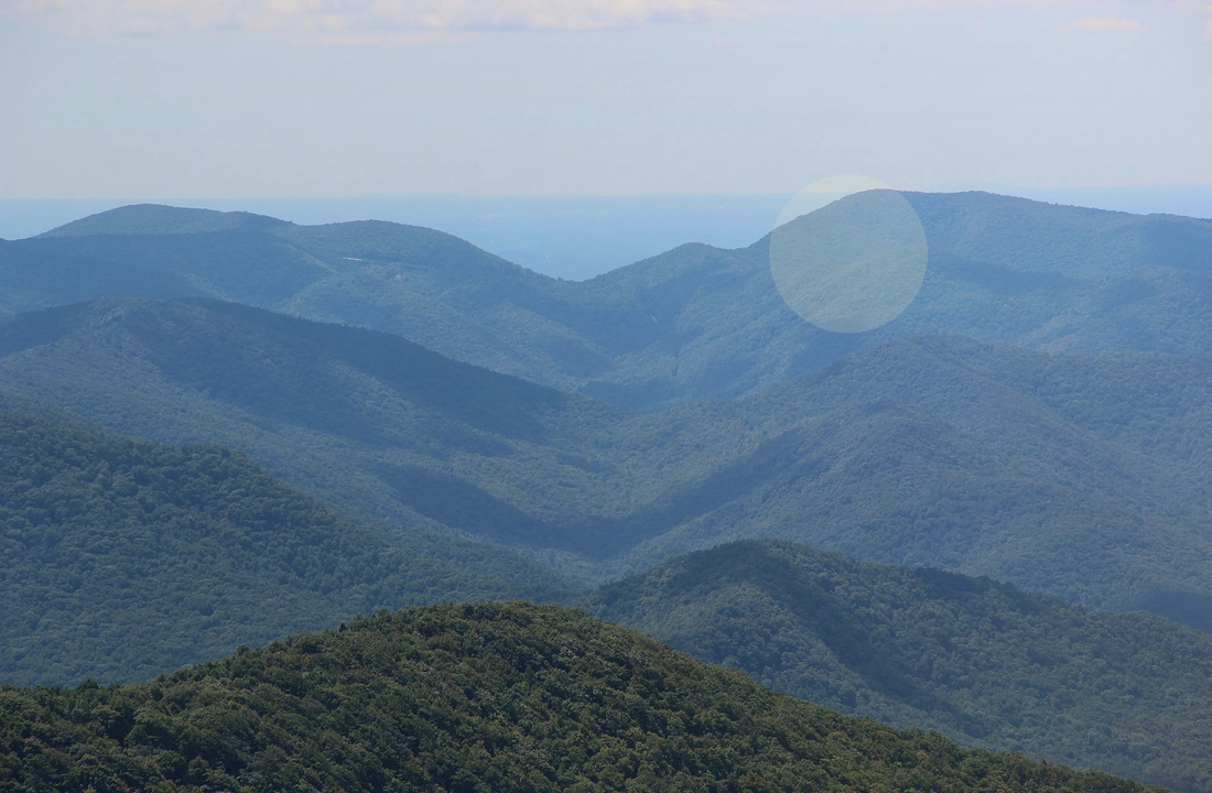 Georgia land sale options and buyer review for How to Sell Land Without Clear Title in Georgia