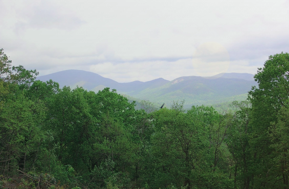 Georgia land sale options and buyer review for Legal Documents for Selling Land in Georgia