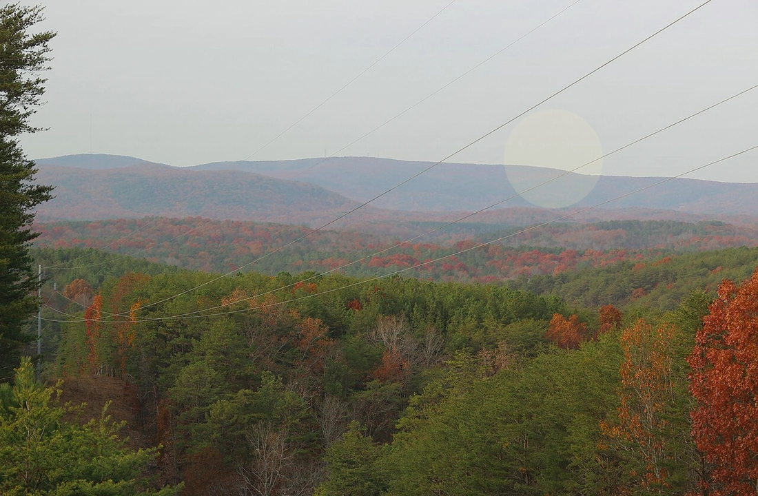 Georgia land sale options and buyer review for Tax on Selling Land in Georgia