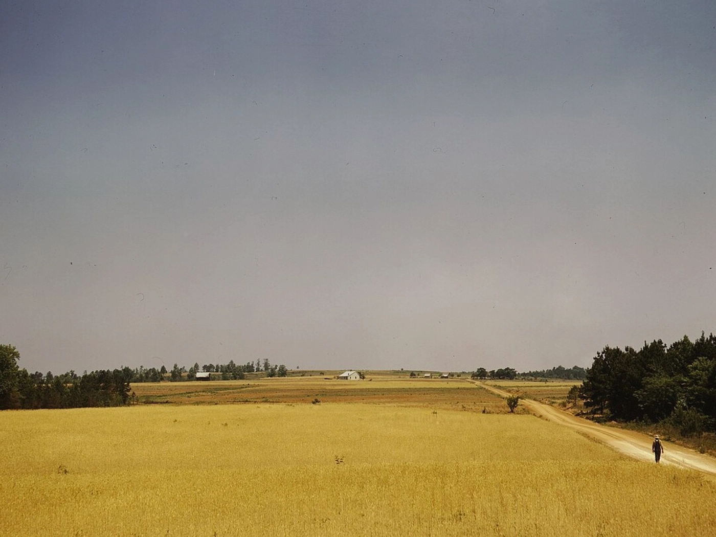 Rural Access Parcels in Augusta